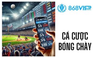 Cá Cược Bóng Chày