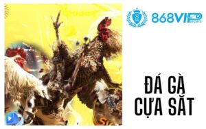 Đá gà Cựa Sắt
