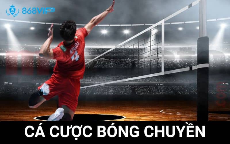 Cá cược bóng chuyền tại 868VIP là trò chơi giải trí cực thú vị Cá cược bóng chuyền tại 868VIP là trò chơi giải trí cực thú vị