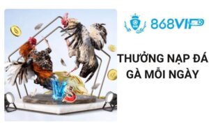 Thưởng nạp đá gà mỗi ngày